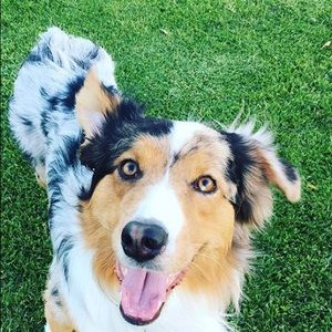 Meet your Posher, Jack